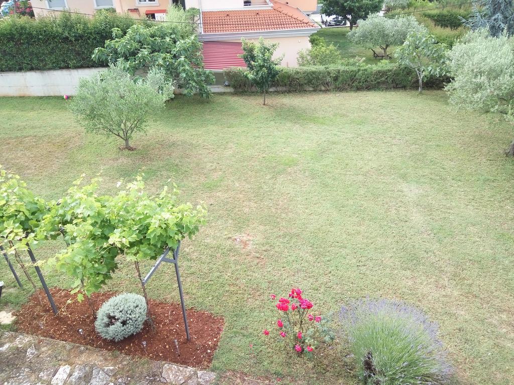 Apartment Asparagus Rovinjsko Selo Kültér fotó